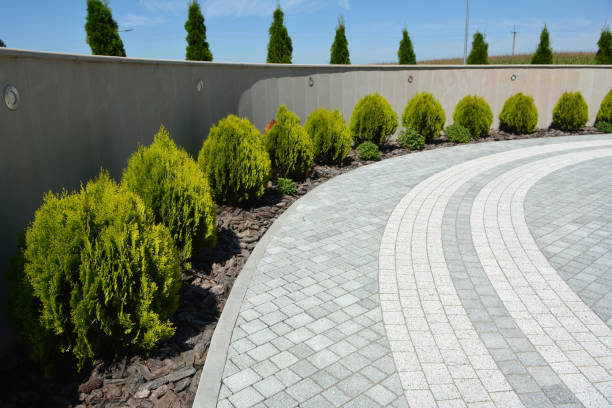 Best Driveway Paving Contractor  in Pines Lake, NJ